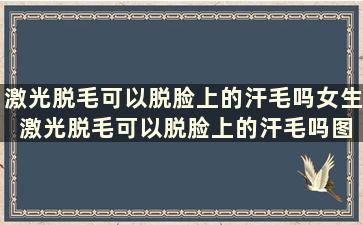 激光脱毛可以脱脸上的汗毛吗女生 激光脱毛可以脱脸上的汗毛吗图片